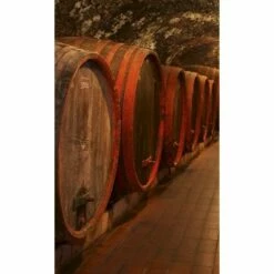 Dimex | Dimex Line | MS-2-0247 | Fototapete | Vlies | Versch. Größen | Küche | Braun