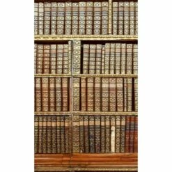 Dimex | Dimex Line | MS-2-0263 | Fototapete | Vlies | Versch. Größen | Fotokunst | Braun