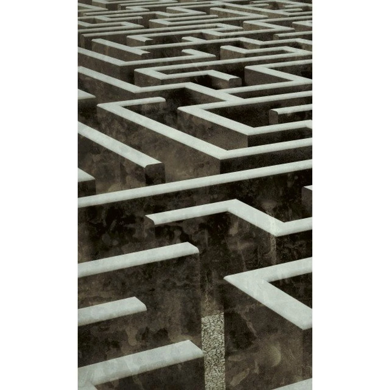 Dimex | Dimex Line | MS-2-0279 | Fototapete | Vlies | Versch. Größen | 3D | Braun 3 Dimex | Dimex Line | MS-2-0279 | Fototapete | Vlies | Versch. Größen | 3D | Braun