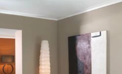 NMC Stuckleiste "Prag" GT NOMASTYL Polystyrol 50 X 120 X 2000 Mm Weiß Deckenleiste -Profistuck Verkäufe NOMASTYL GT 4 1280x1280