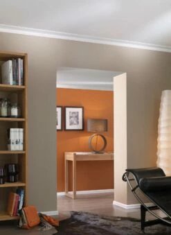 NMC Stuckleiste "Prag" GT NOMASTYL Polystyrol 50 X 120 X 2000 Mm Weiß Deckenleiste -Profistuck Verkäufe NOMASTYL GT 5 1280x1280